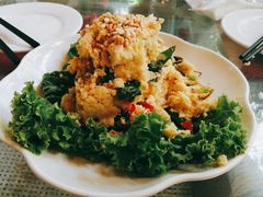 -大鹅岛绿色生态美食园