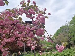 -幕燕滨江·长江观音景区