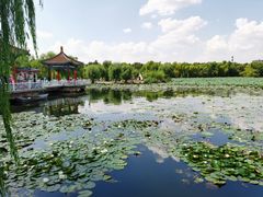 -长春市南湖公园