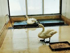 -沈阳森林动物园