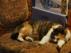 -天地無用GAME BAR