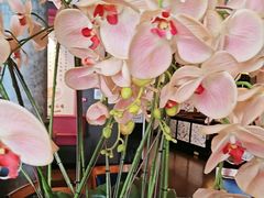 -八府香鸭·啫啫煲(华山路店)