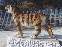 -沈阳奥体冰雪嘉年华