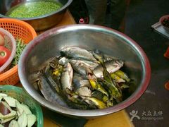 -南汇水蜜桃采摘(大团店)