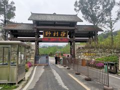 -黄陂区野村谷景区