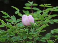 -江南大学(蠡湖校区)
