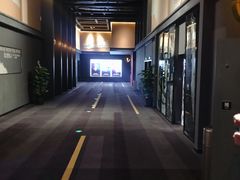 -万达影城(闵行颛桥万达广场杜比影院店)