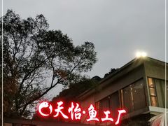 -天怡·鱼工厂(梅溪湖店)