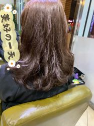 -环球蝶上美业连锁