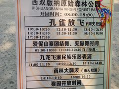 -西双版纳原始森林公园