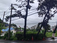 -海云台海滩