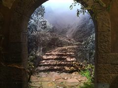 -中国茶叶博物馆(双峰馆区)
