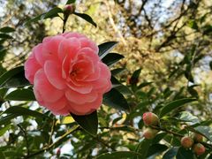 -昆明市金殿名胜区