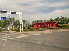 -南大港湿地风景区