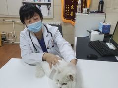 -北京观赏动物医院·24小时大型综合·猫专科·异宠专科