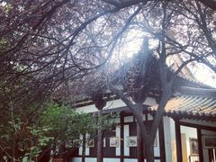 -西安青龙寺遗址景区