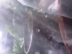 -融汇温泉