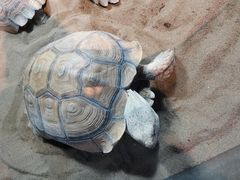 -太奥幻太奇海洋馆