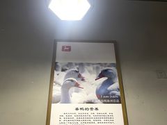 -斯丹姜母鸭·古法干香(田安南路店)