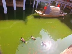 -豫园湖心亭茶楼