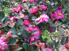 -白塘生态植物园