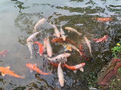 -东部华侨城