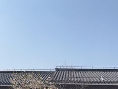 -菊园百果园