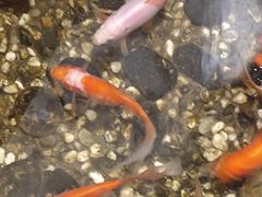 -邈墨茶馆(凤起路店)