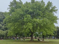 -眉山湿地公园(东坡区)