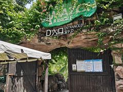 -三亚湾红树林度假世界(木棉酒店)