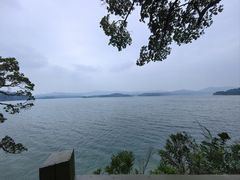 -广州市流溪河国家森林公园