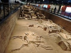 -洛阳周王城天子驾六博物馆