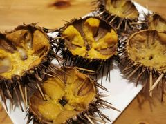 -海胆小馆(东北水饺·春柳店)