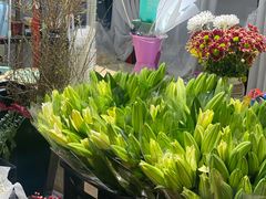 -梦缘花坊(郑州陈砦花卉市场B区店)