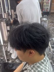 -藤野造型烫染优质