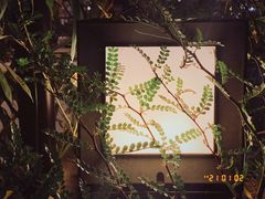 大堂-新竹里馆·花园餐厅(兴苑路店)