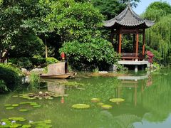 -云溪植物园
