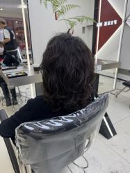 -FINE HAIR 烫染专业设计
