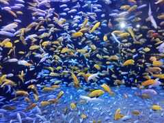 -成都浩海立方海洋公园