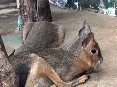-正佳雨林生态植物园