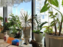 -懒人盐府人家(航天桥店)