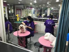 -贵族宠物·宠物美容(三阳路店)