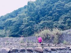 -北仑森林植物园