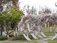 -府河摄影公园