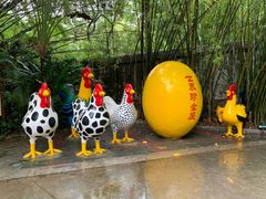 -深圳野生动物园