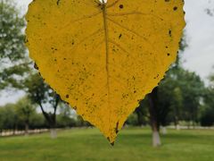 -汉长安城未央宫国家考古遗址公园