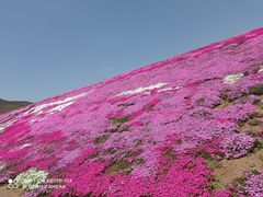 -大连铭湖国际观光牧场