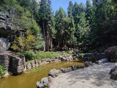 -梭布垭石林景区