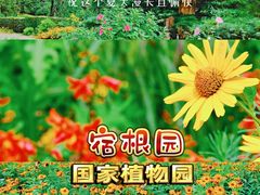 -国家植物园