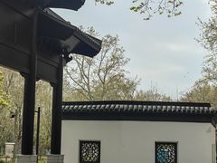 -泰州凤城河风景区-泰山公园